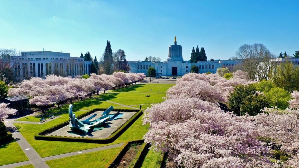 Oregon State Capitol during cherry blossom season. Photo from stock.adobe.com.